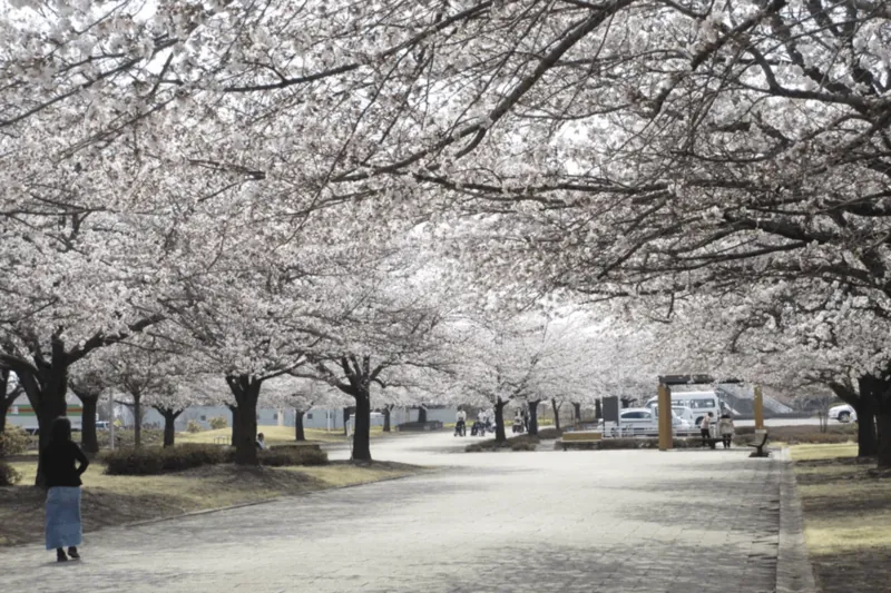 西南公園