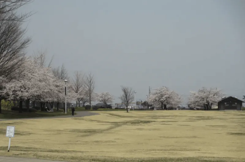 西南公園 2