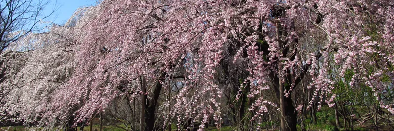 服部緑地都市緑化植物園