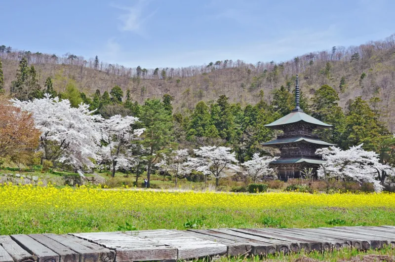 まほろば古の里歴史公園