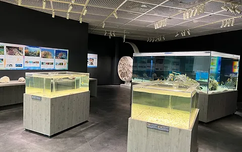 奄美海洋展示館
