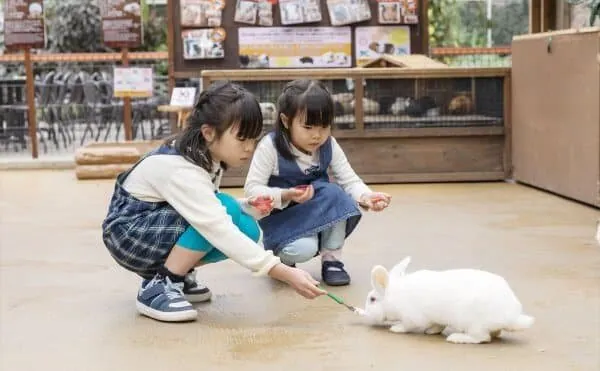 神戸どうぶつ王国 2