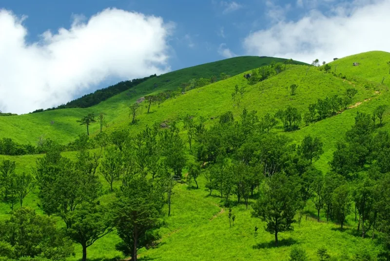 深入山