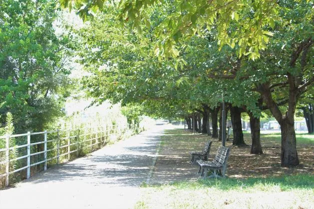 津田公園 3