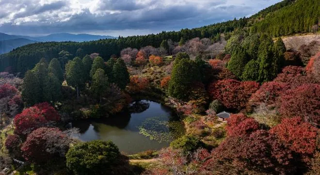 鳥見山公園