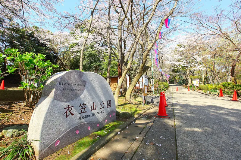 衣笠山公園