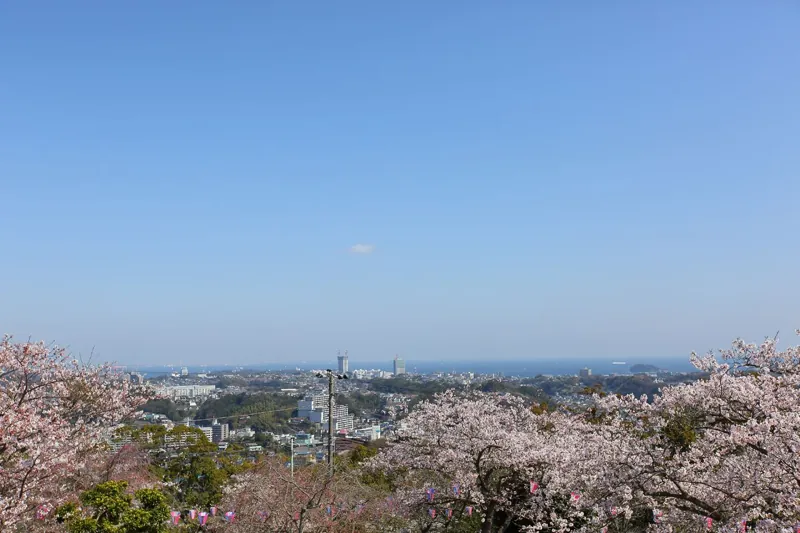衣笠山公園 2