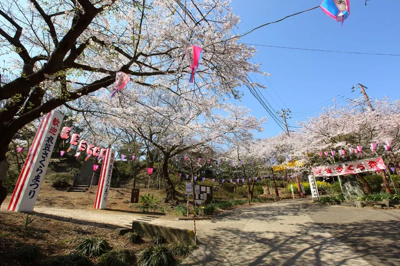 衣笠山公園 3