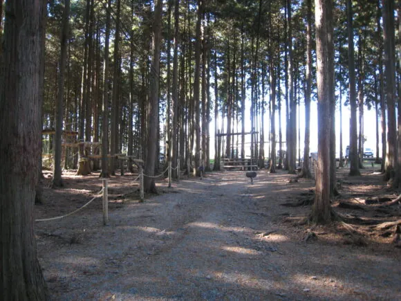 駒門公園 2