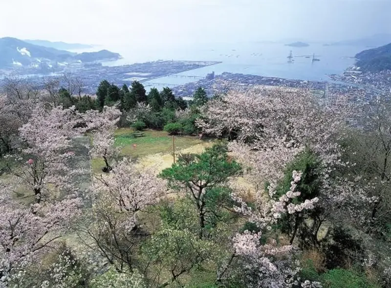 大空山公園