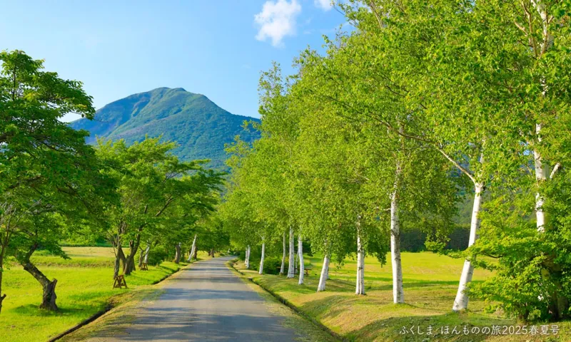 町営磐梯山牧場 2