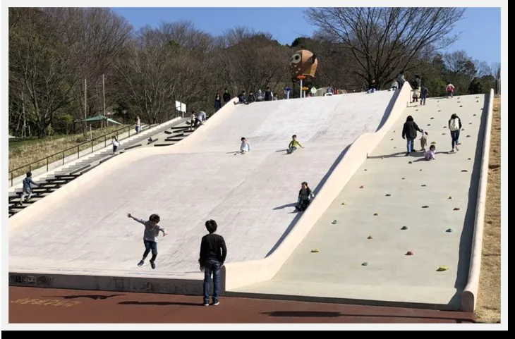 永楽ゆめの森公園 1