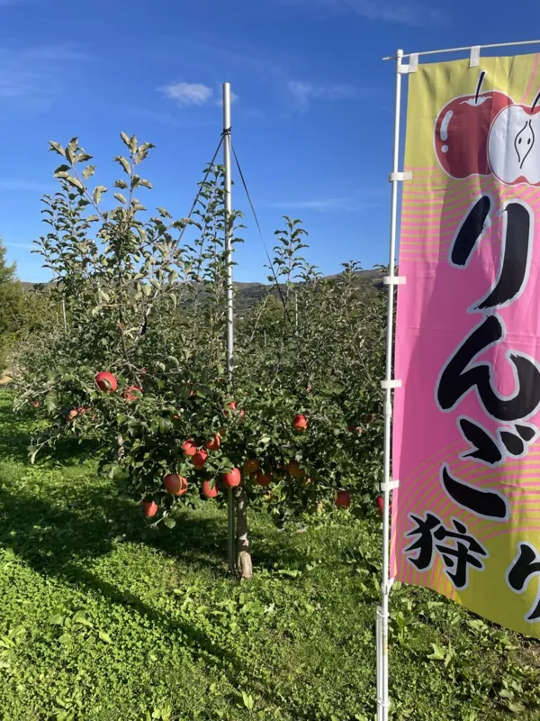 ほりぐち果樹園 3