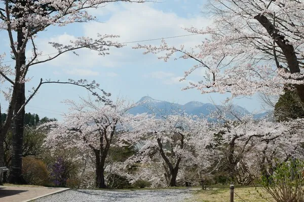 早掛沼公園