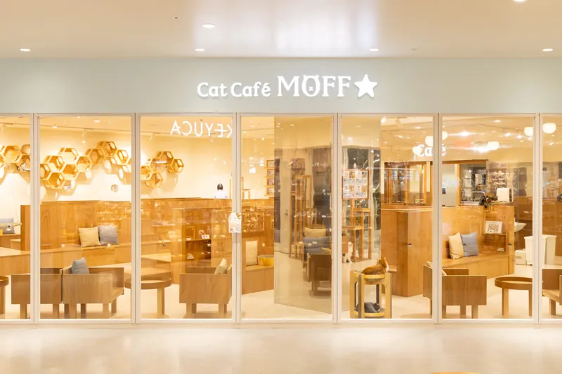 Cat Café MOFF minamoa広島店