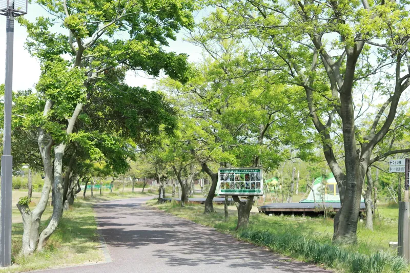 海辺の森キャンプ場