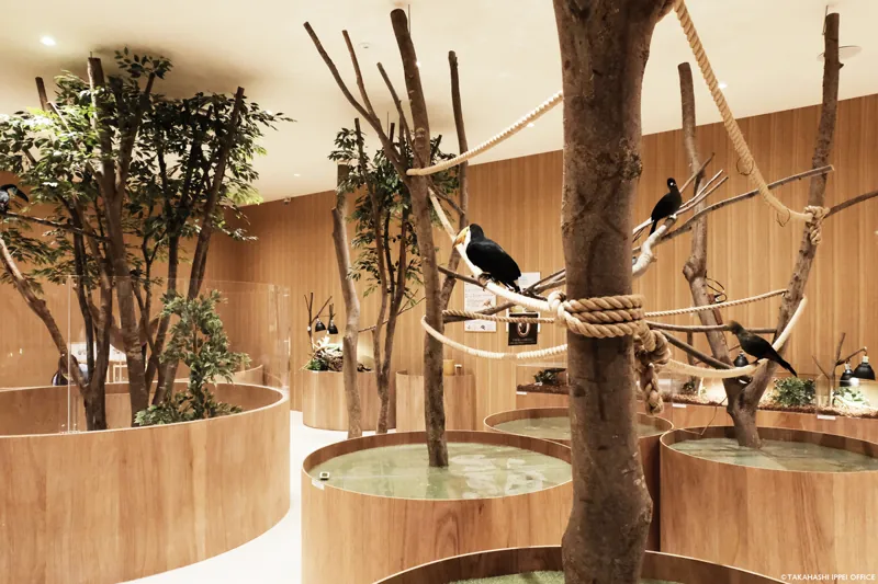 Moff animal cafe ららぽーと堺店 2