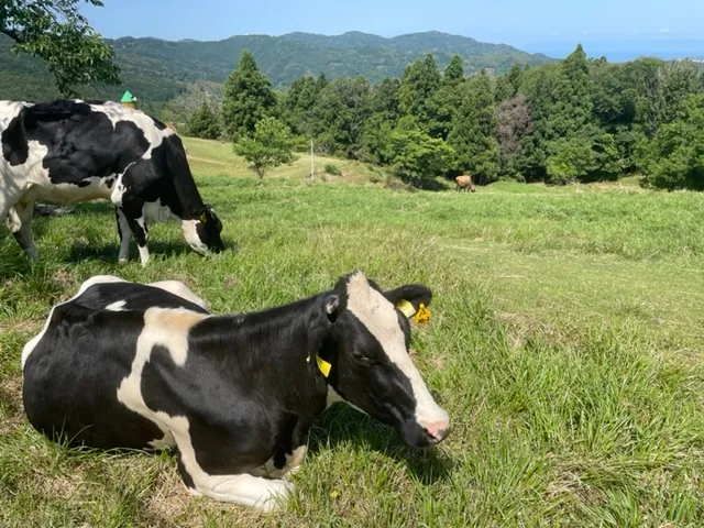 黒沢牧場