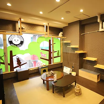 猫喫茶 空陸家 新小岩店 2