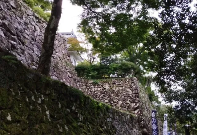 郡上八幡城 2