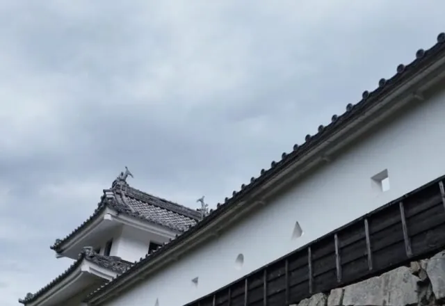 郡上八幡城 3