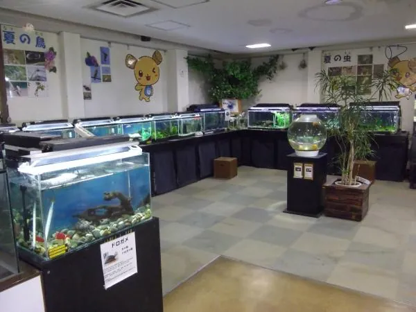 土浦市ネイチャーセンター 2
