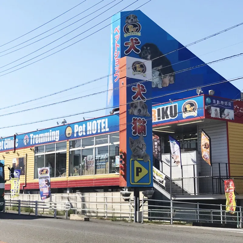 猫喫茶 空陸家 四日市店