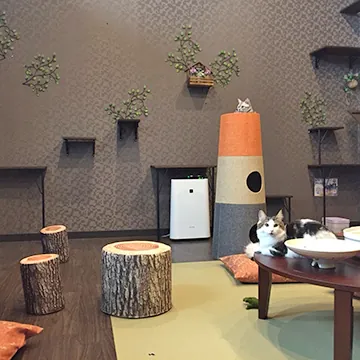 猫喫茶 空陸家 四日市店 2