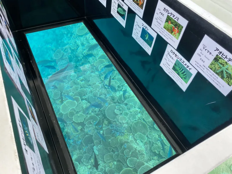 ブセナ海中公園 3