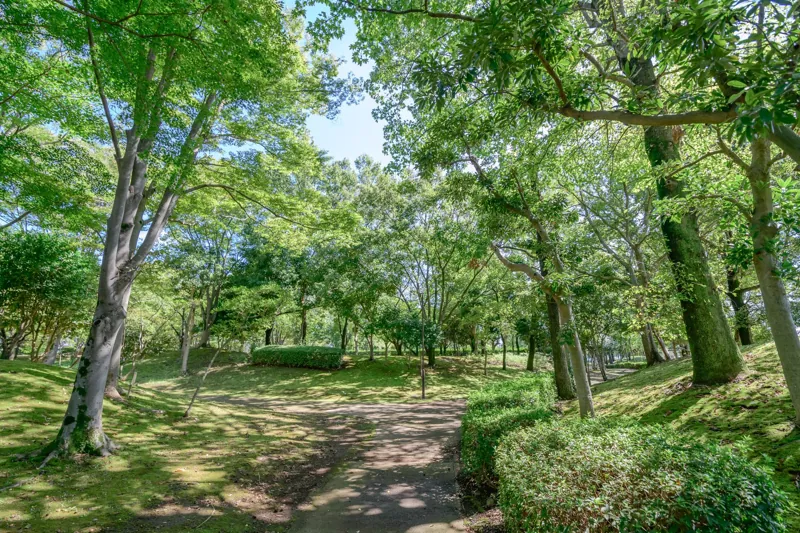 羽成公園