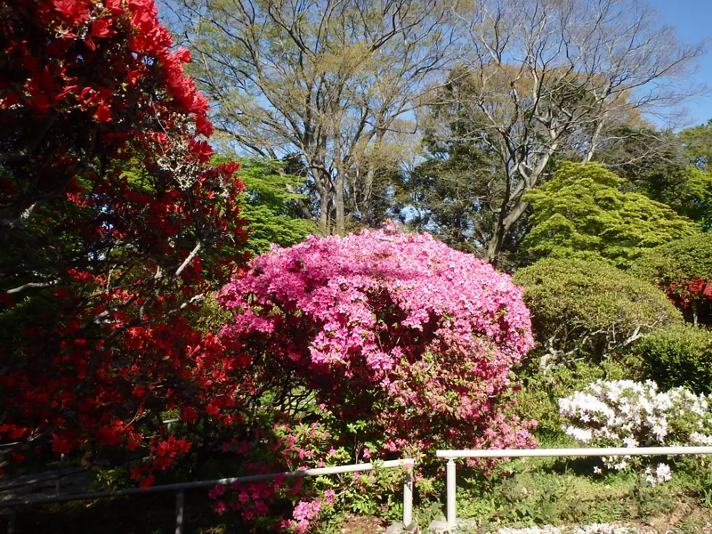 松ヶ岡公園