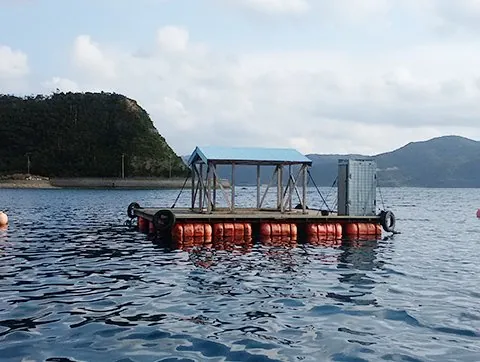 釣りイカダ宇検 3