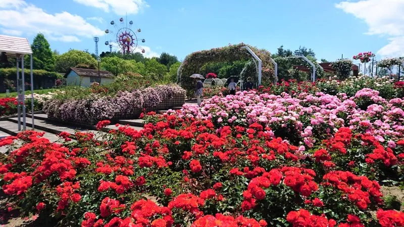 蜂ヶ峯総合公園 2