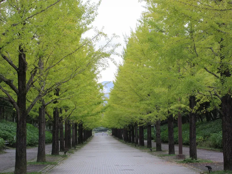 福島県あづま総合運動公園