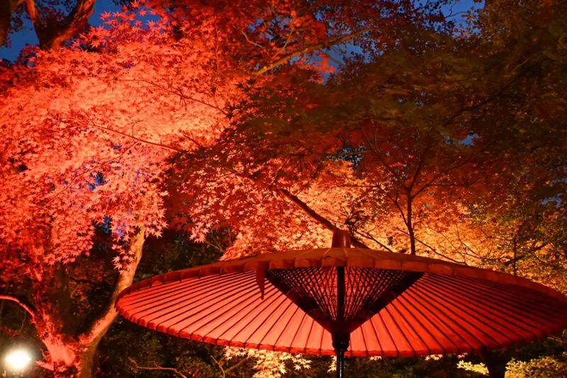 瑞宝寺公園
