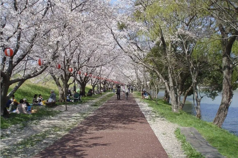 酒津公園 2