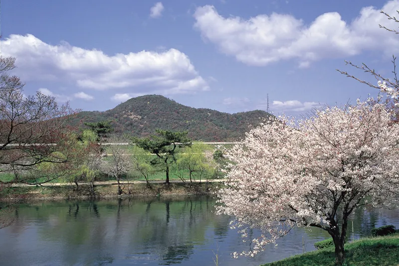 酒津公園 3