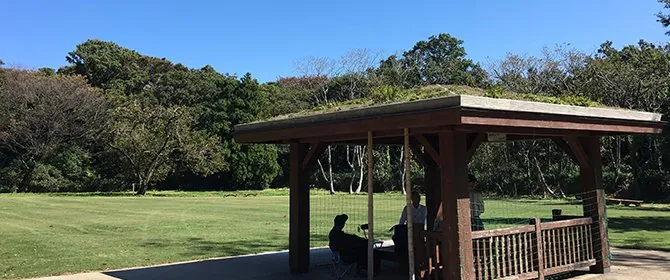 橋立自然公園 1
