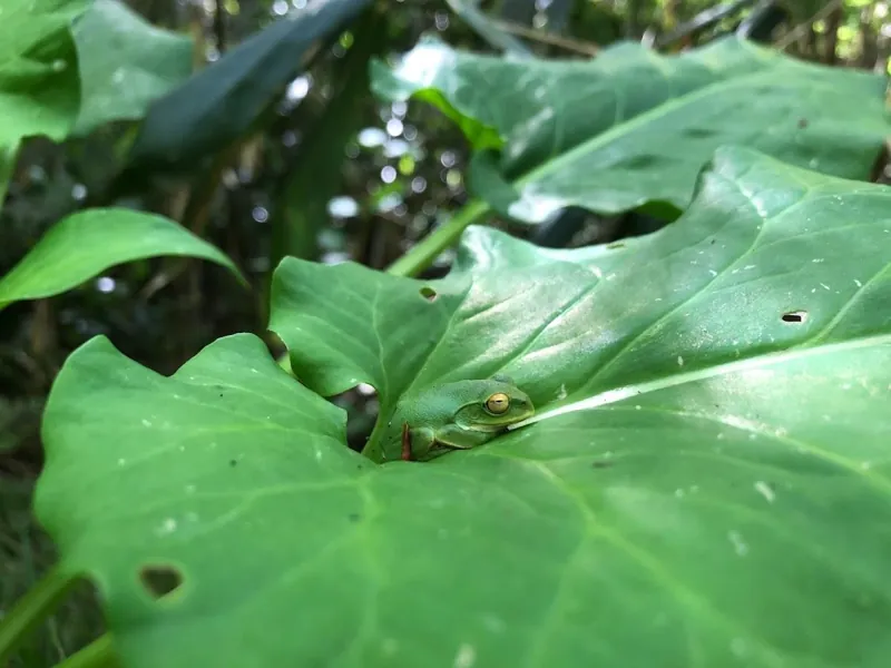 橋立自然公園 2