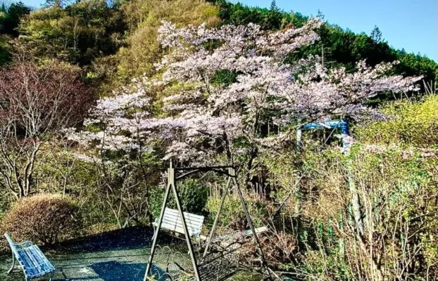 ほうれん坊の森キャンプ場 3