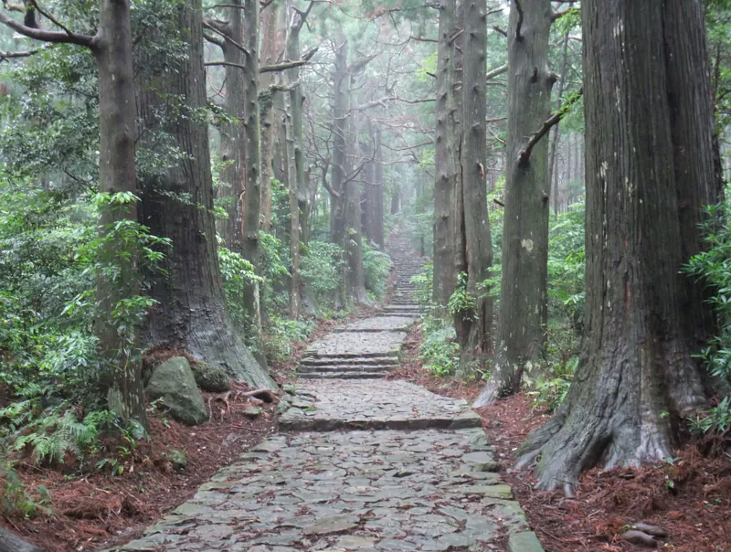 熊野古道 大門坂（大門坂駐車場〜那智山）