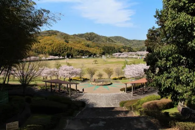 桜山公園