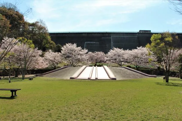 桜山公園 3
