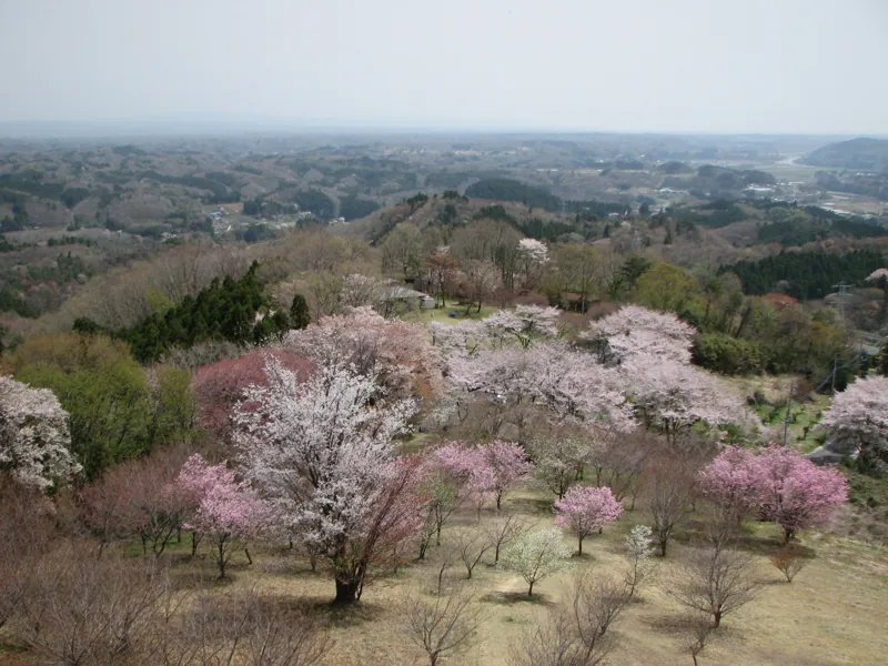 三王山自然公園 2