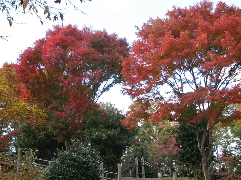 三王山自然公園 3