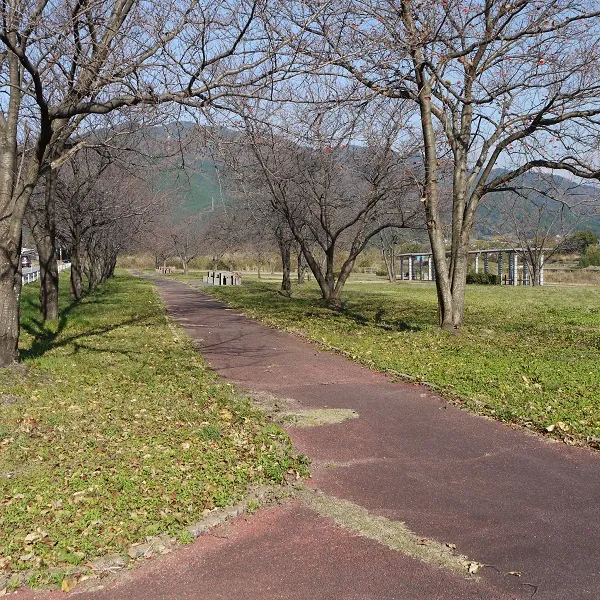 重信川樋口公園 3