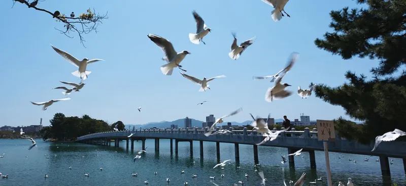 大濠公園 3