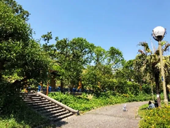 千島公園 2