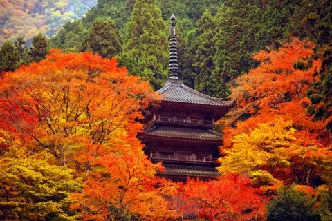 高源寺