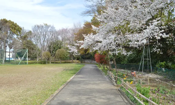 八千代台近隣公園 2